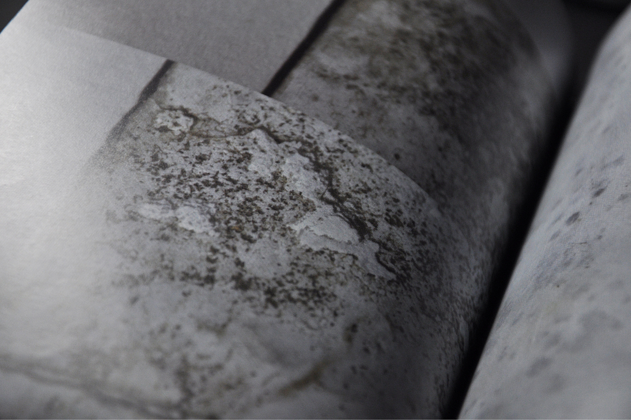 自然的痕迹 —— 迟来的毕业设计