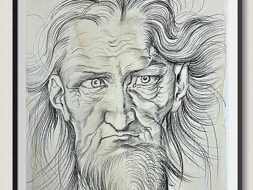 丢勒素描学习