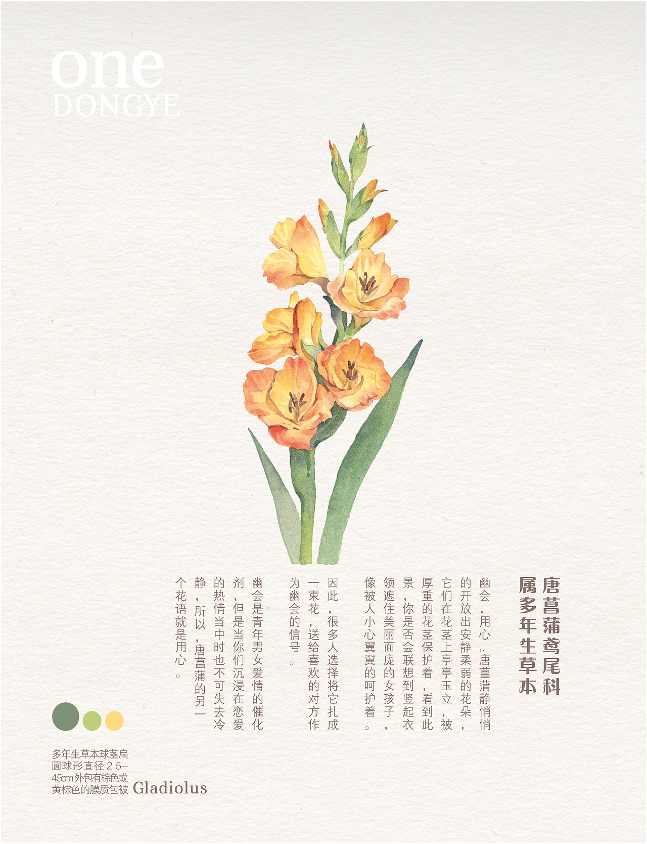 绘花（图ZMjQ5NzA1NDUy） - 绘本 - 站酷设计师红耳环姑孃儿原创素材 - 站酷ZCOOL