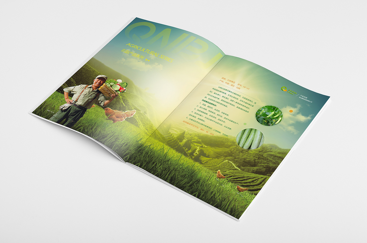 农业公司画册设计（图ZMjQyMTY3ODky） - 书籍/画册 - 站酷设计师一峰设计原创素材 - 站酷ZCOOL