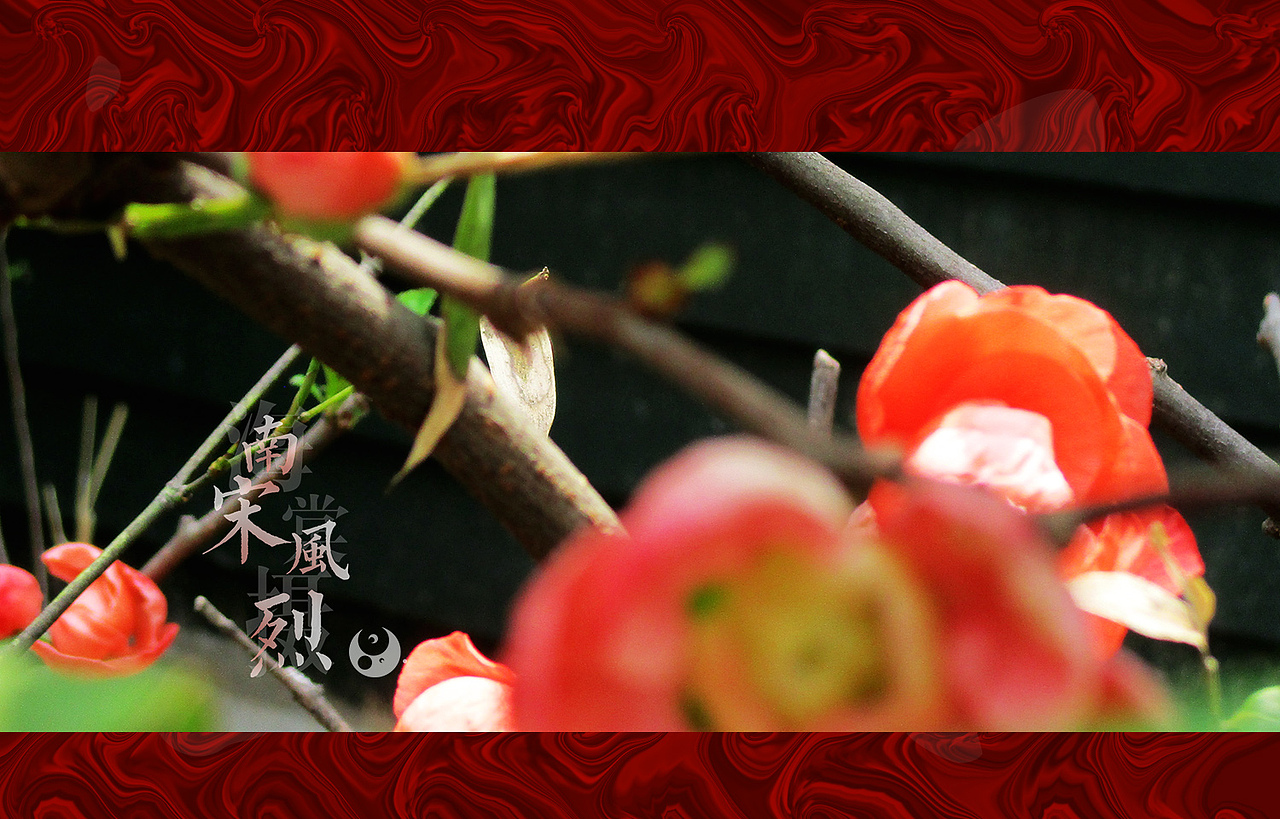 海棠摄——南宋风烈