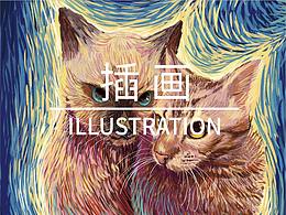 STARRY CAT 星空貓 | 插畫練習(xí)