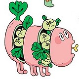 十一插画的头像