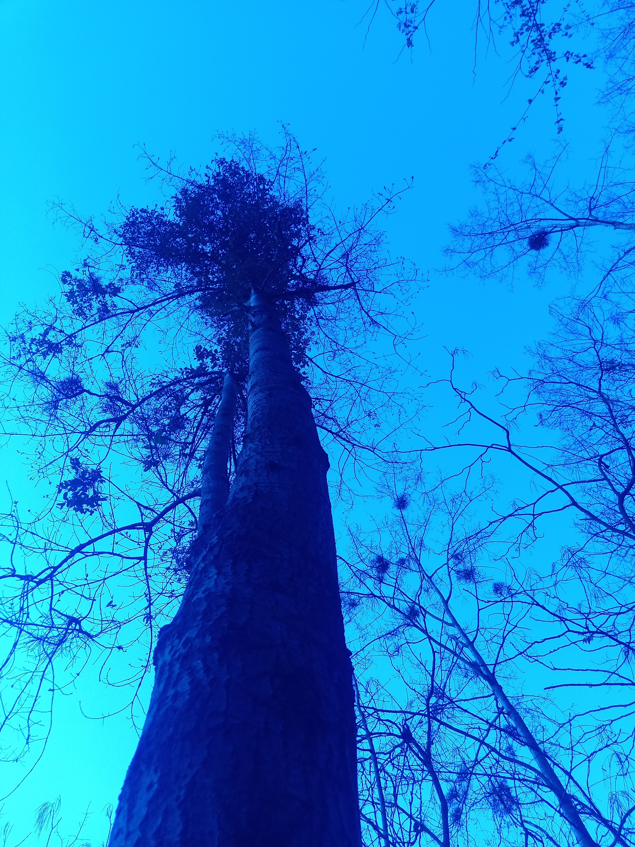 现在这个样的世界已经很少有这样的风景了