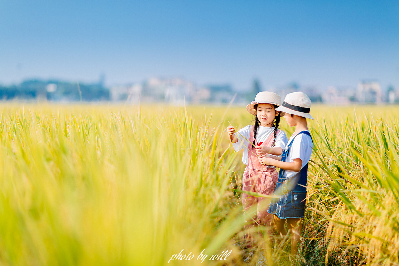 稻香中的微笑（图ZMjQyMzM4NTAw） - 人像摄影 - 站酷设计师斌大Will原创素材 - 站酷ZCOOL