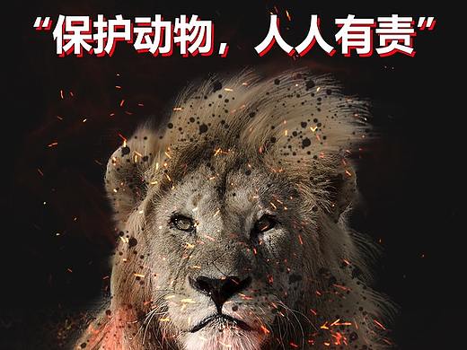 保护动物（个人主页-ZMzUyOTk2NzI=） - 其他平面 - 站酷设计师执念hyacinth原创素材 - 站酷ZCOOL