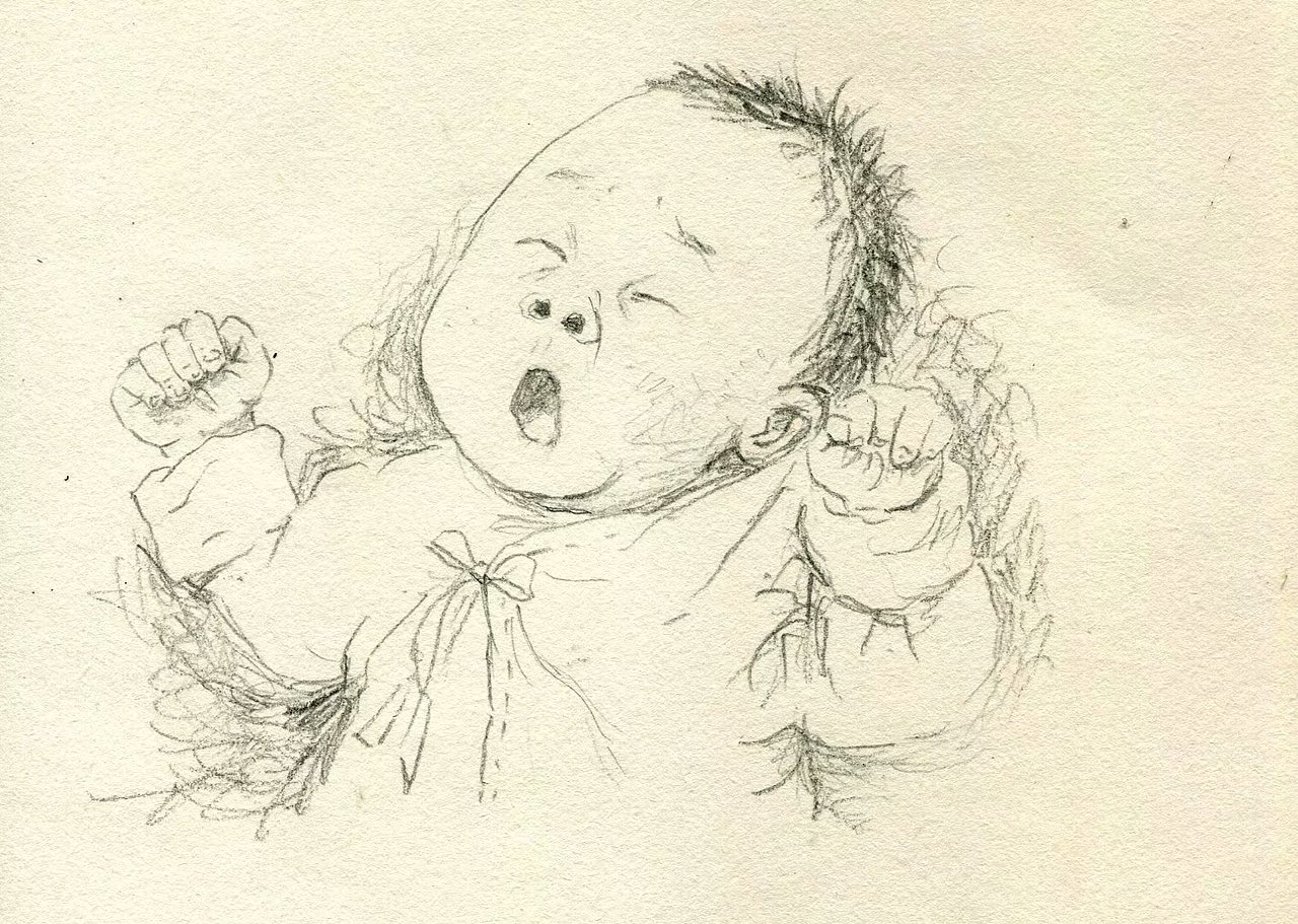 儿童插画-单色插画