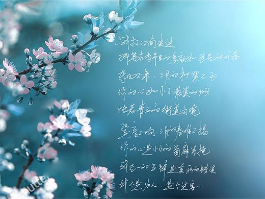 三月的春帷不揭