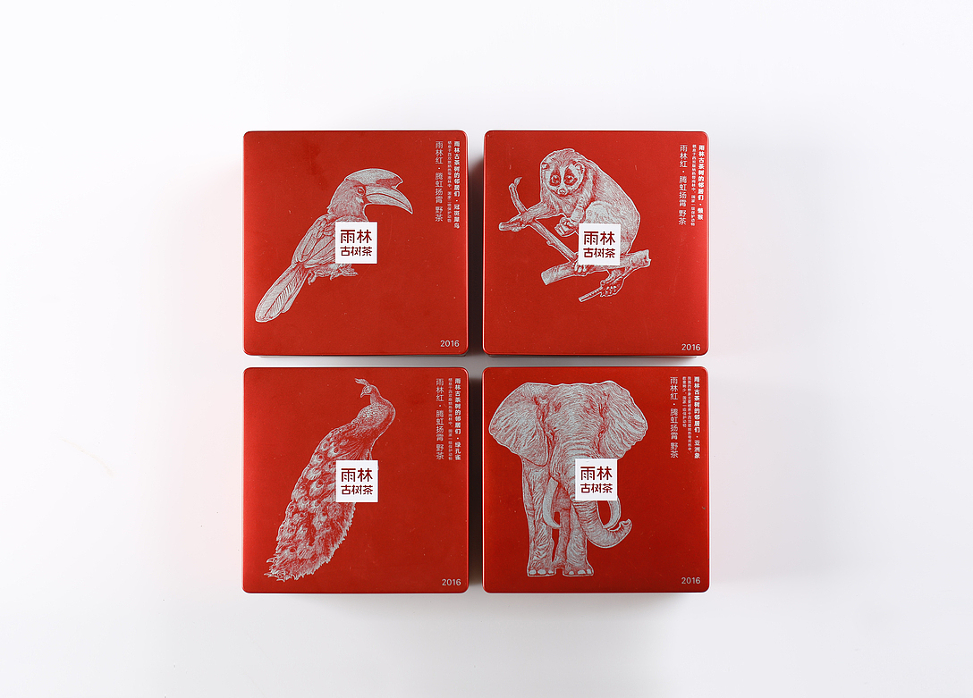 雨林古茶坊&雨林古树茶&系列包装插画创作