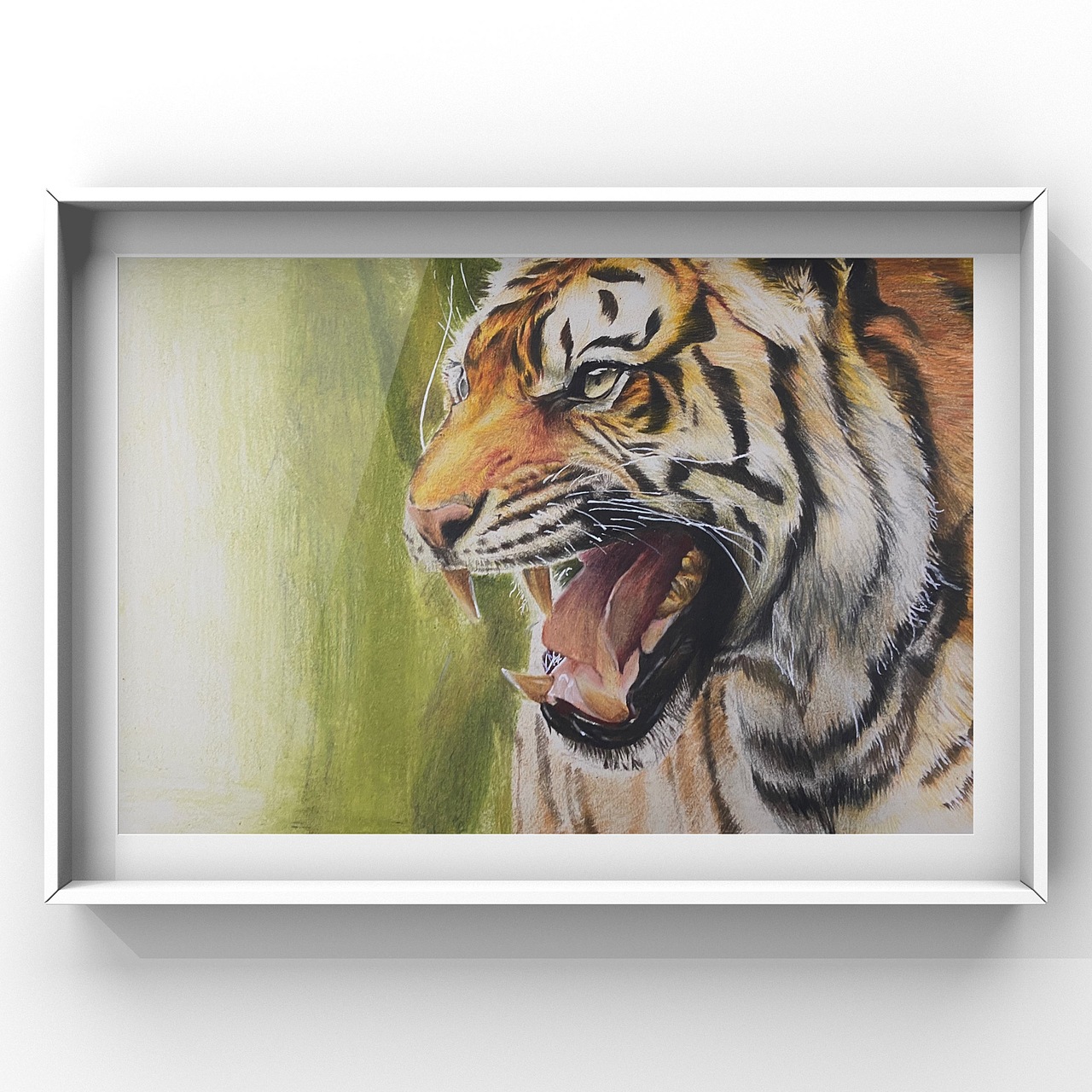 老虎🐯彩铅（图ZMjY1Njc3Mjcy） - 绘画 - 站酷设计师伊空原创素材 - 站酷ZCOOL