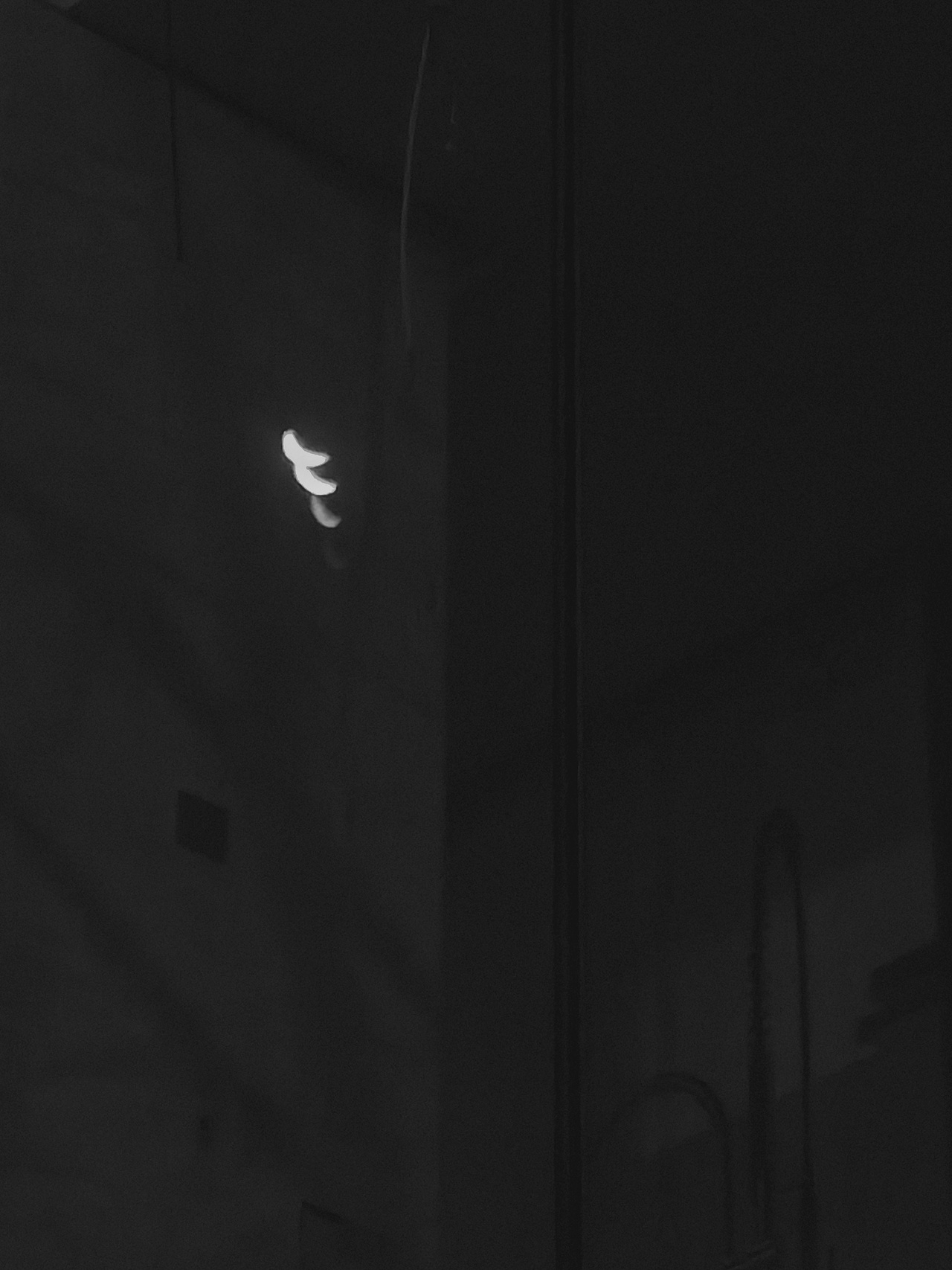 月与枝桠 / D539（图ZMjUzNTIwMjcy） - 人文/纪实摄影 - 站酷设计师YELOPHOTO原创素材 - 站酷ZCOOL