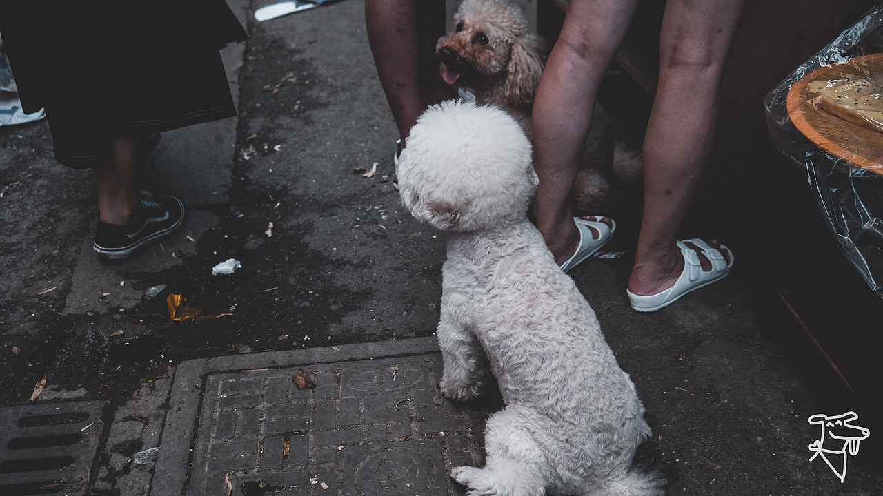 2019/8/13【GOZI】NANJING 上海路