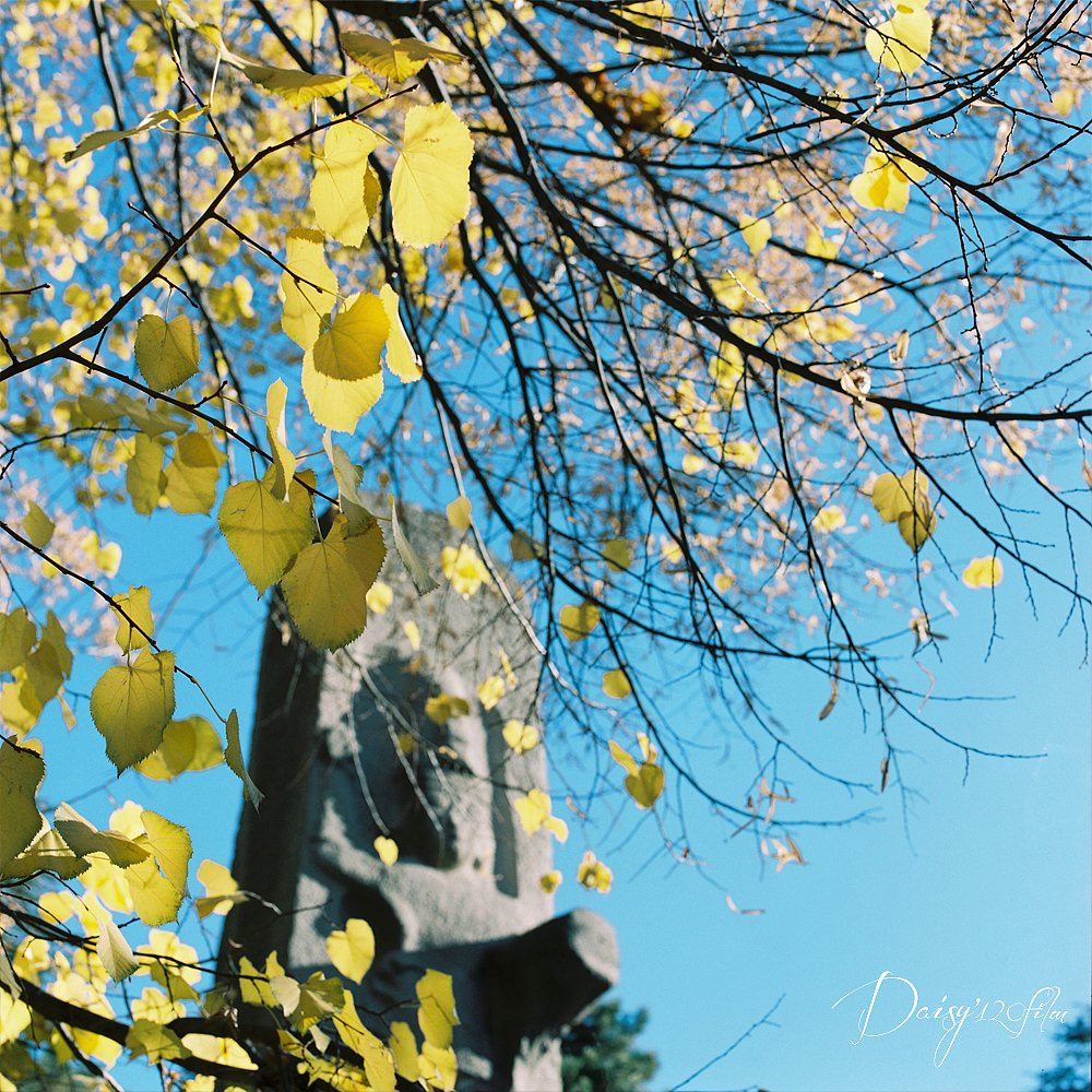 忘不了，土耳其的蓝（图ZNTY0NTUzMDQ=） - 风光摄影 - 站酷设计师daisy希希原创素材 - 站酷ZCOOL