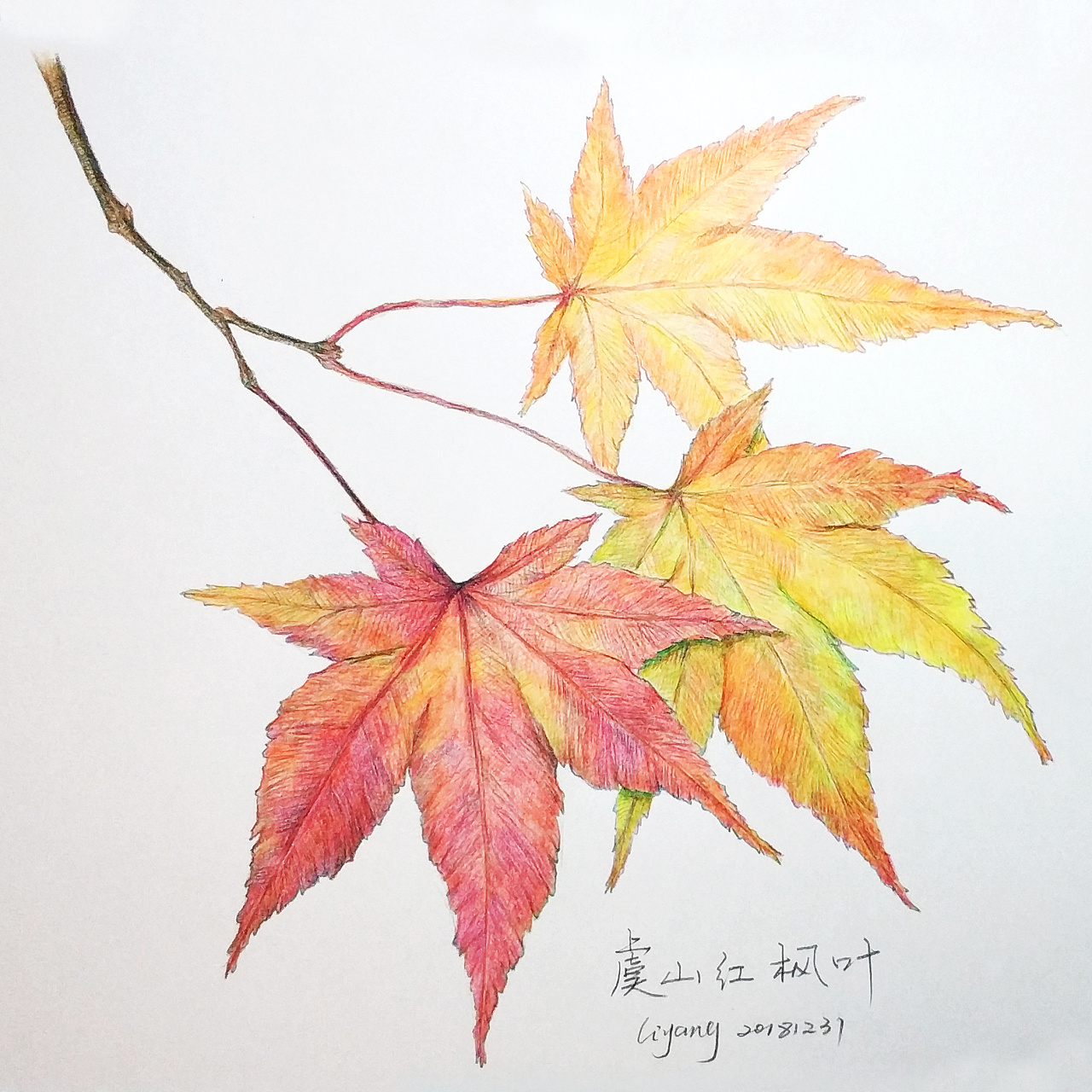 土著随手画——2017-2018素描彩铅水彩手绘