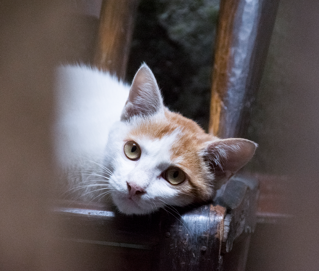 发现武汉之天下第一街——汉正街