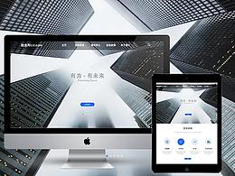 陸金所金融藍(lán)白官網(wǎng)包裝