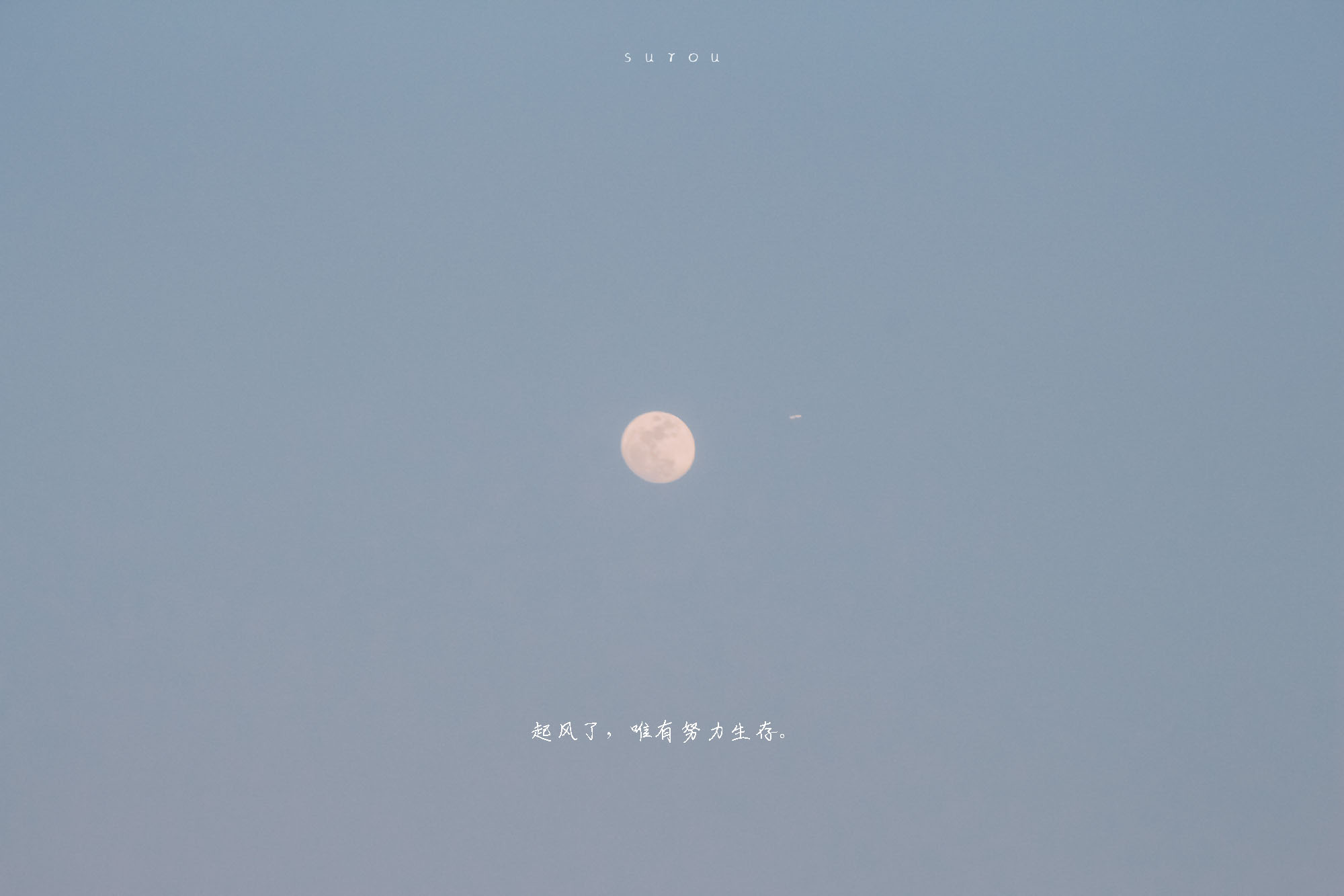 WEN闻一的个人主页（封面预览） - 主页封面设置 - 站酷设计师WEN闻一原创素材 - 站酷ZCOOL