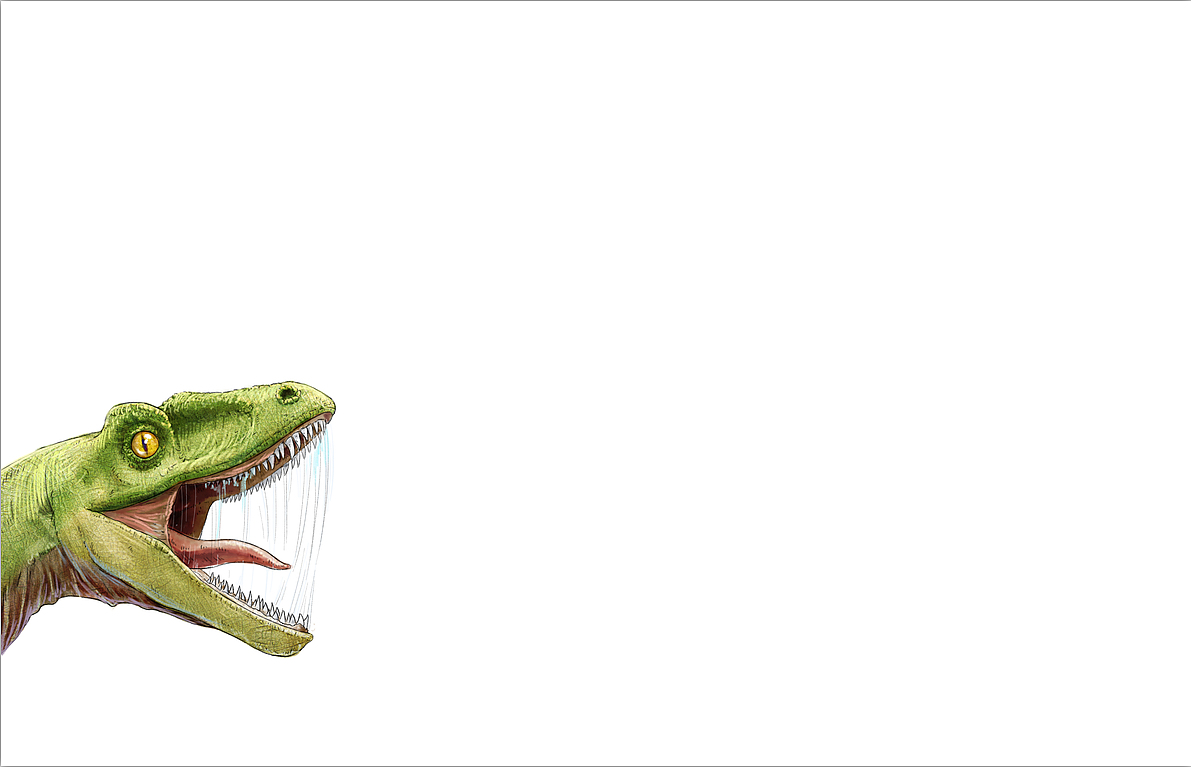 恐龙商插 禄丰龙