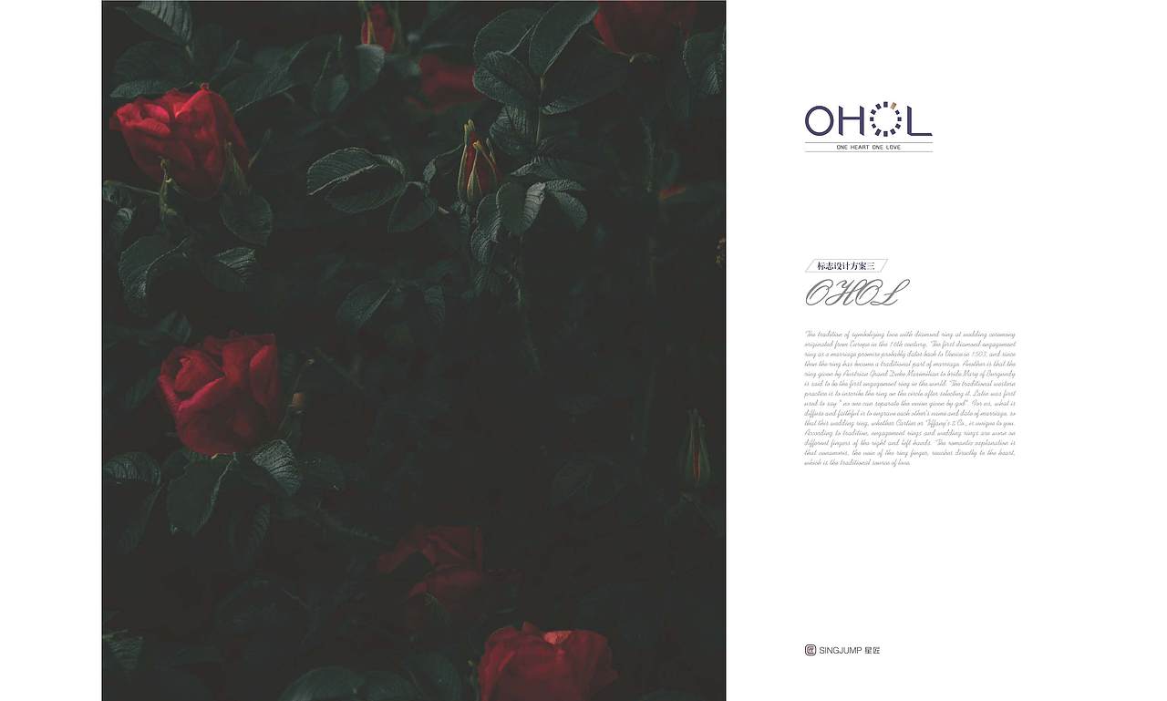 珠宝品牌LOGO设计-OHOL（图ZMjg2MDQ3Mjc2） - Logo - 站酷设计师星创创意原创素材 - 站酷ZCOOL