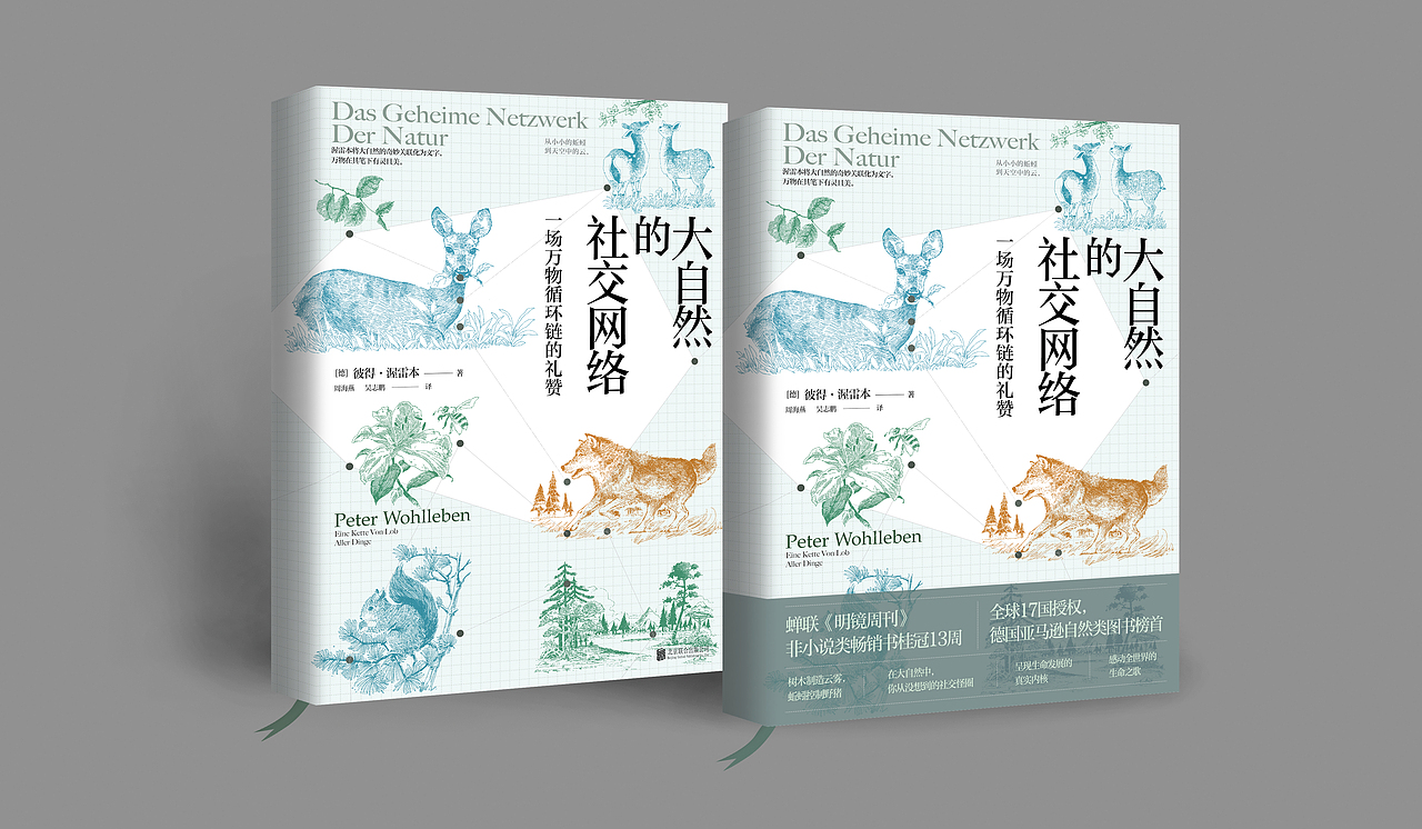 Das Geheime Netzwerk Der Natur