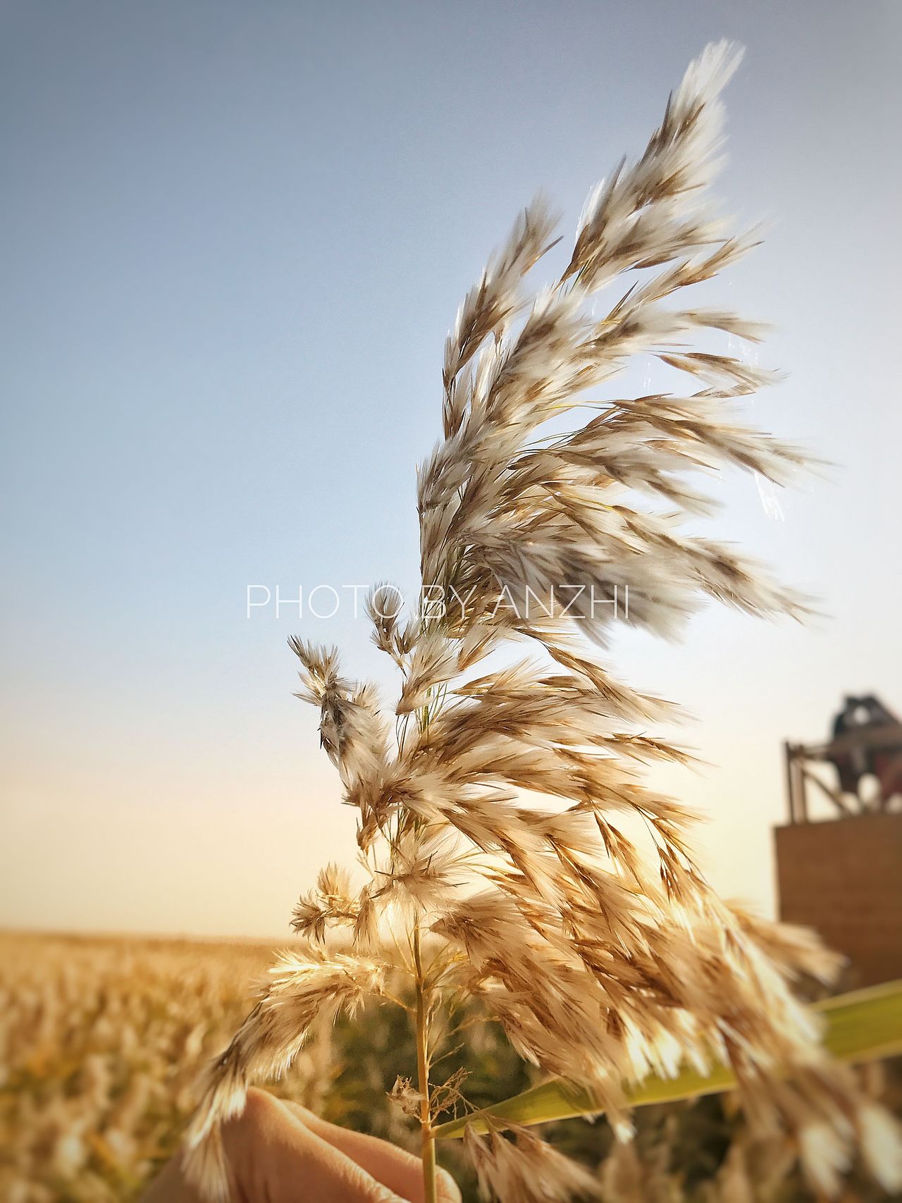 遇见最美大西北（图ZMTAwNzQ2MjUy） - 风光摄影 - 站酷设计师安之HAHA原创素材 - 站酷ZCOOL