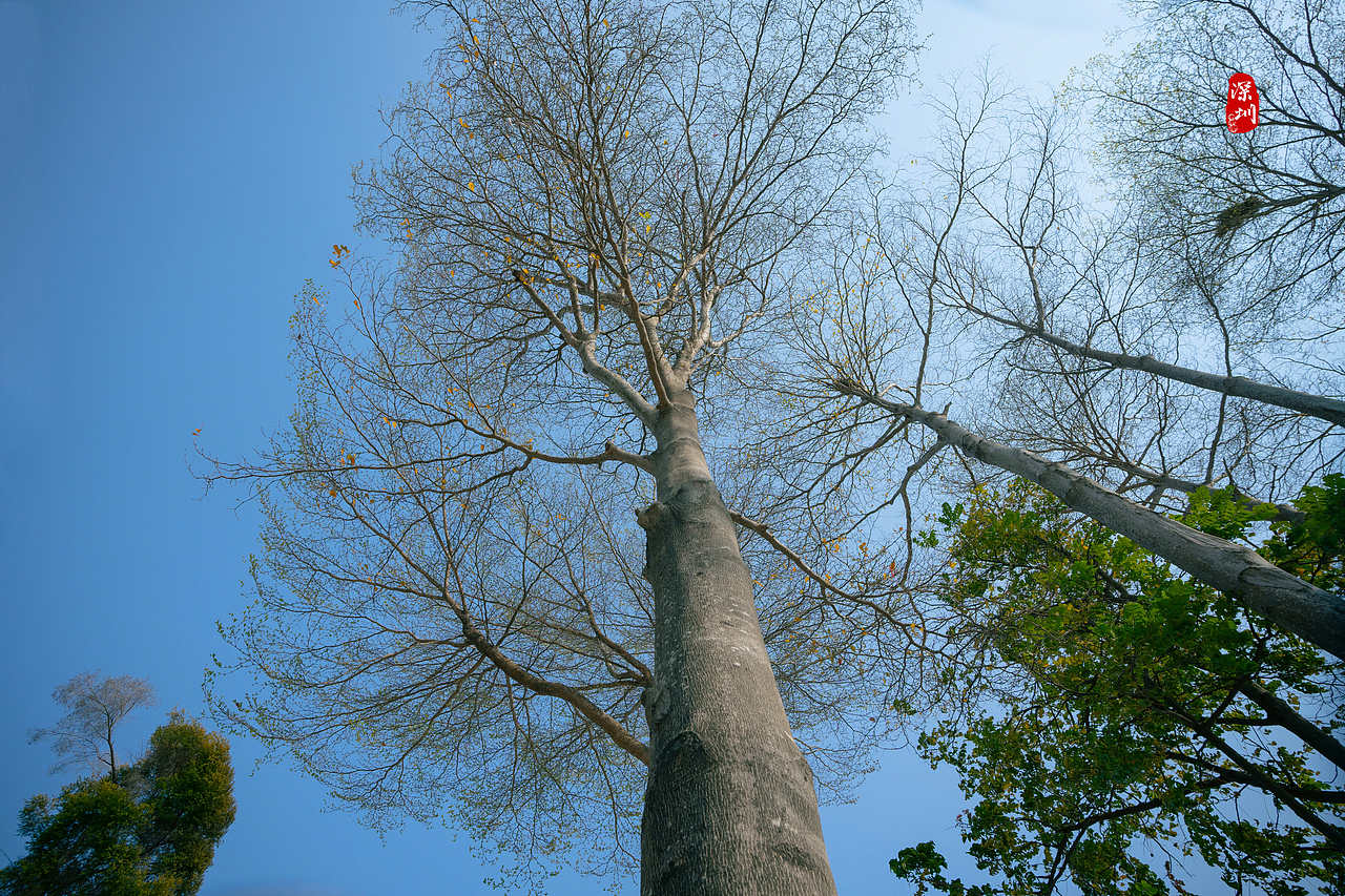旅行摄影·深圳行(风光篇)