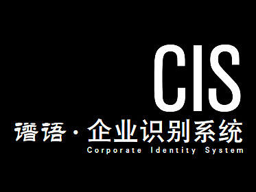 CIS企业识别系统练习