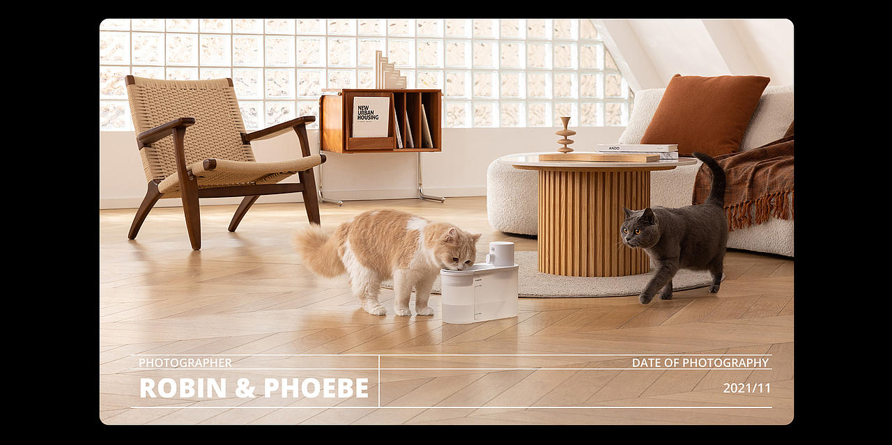 宠物用品拍摄 I Boqii x Robin&Phoebe（图ZMjg2MTQxODk2） - 产品摄影 - 站酷设计师Robin_Phoebe原创素材 - 站酷ZCOOL