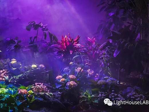 2020上海（国际）花展上海之鱼-数字景观V3.0