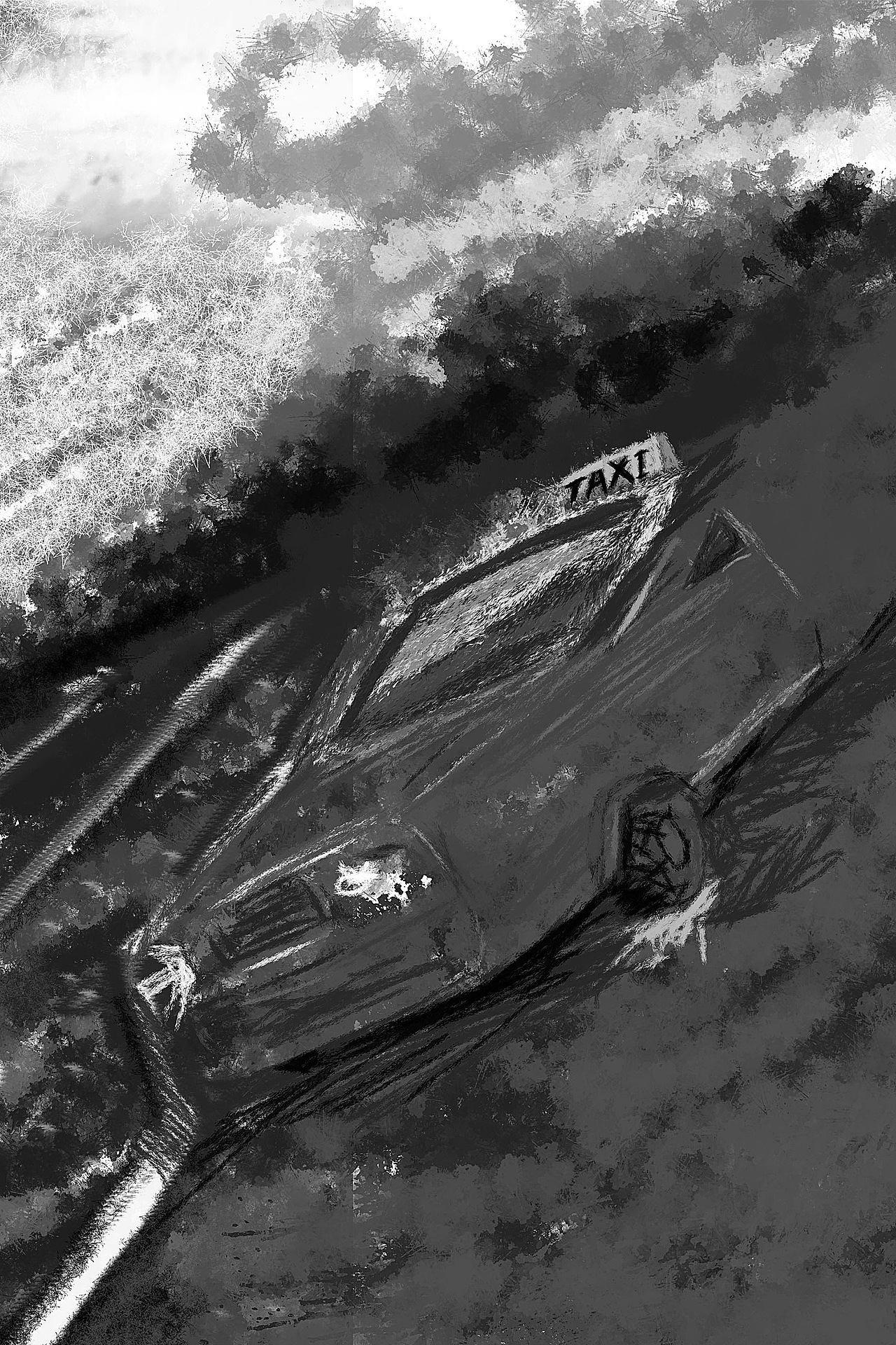 Z456 TheBrushTest について