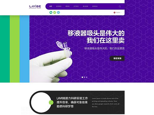 LAVIBE (乐斐) 官网 PC端（个人主页-ZNTcxMTYxMjA=） - 企业官网 - 站酷设计师慕慕慕思原创素材 - 站酷ZCOOL