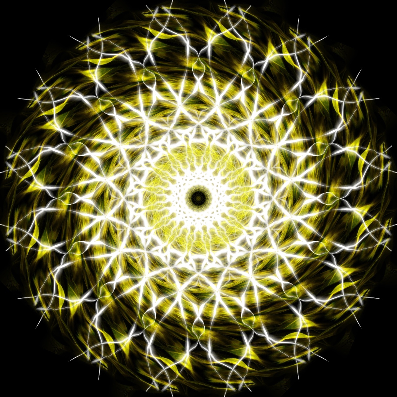 对称花朵|纯艺术|绘画|紫外星人_原创作品-站酷zcool