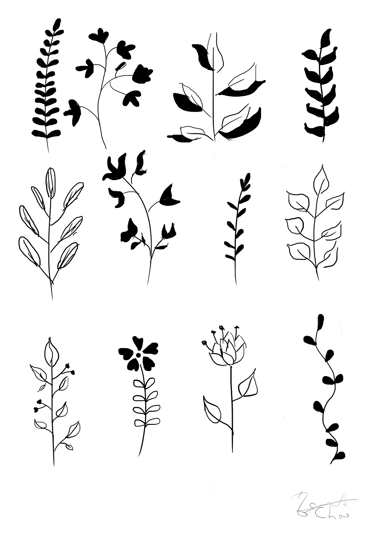 插画日常练习Day1