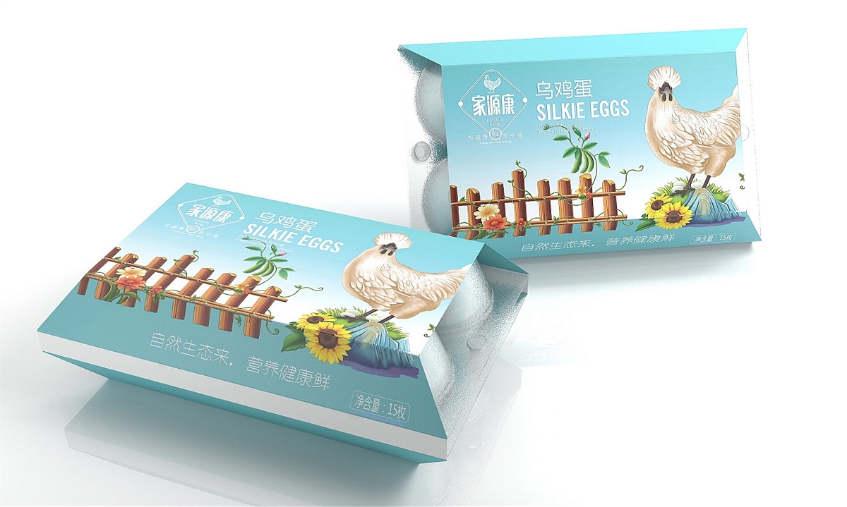 家源康鸡蛋—徐桂亮品牌设计