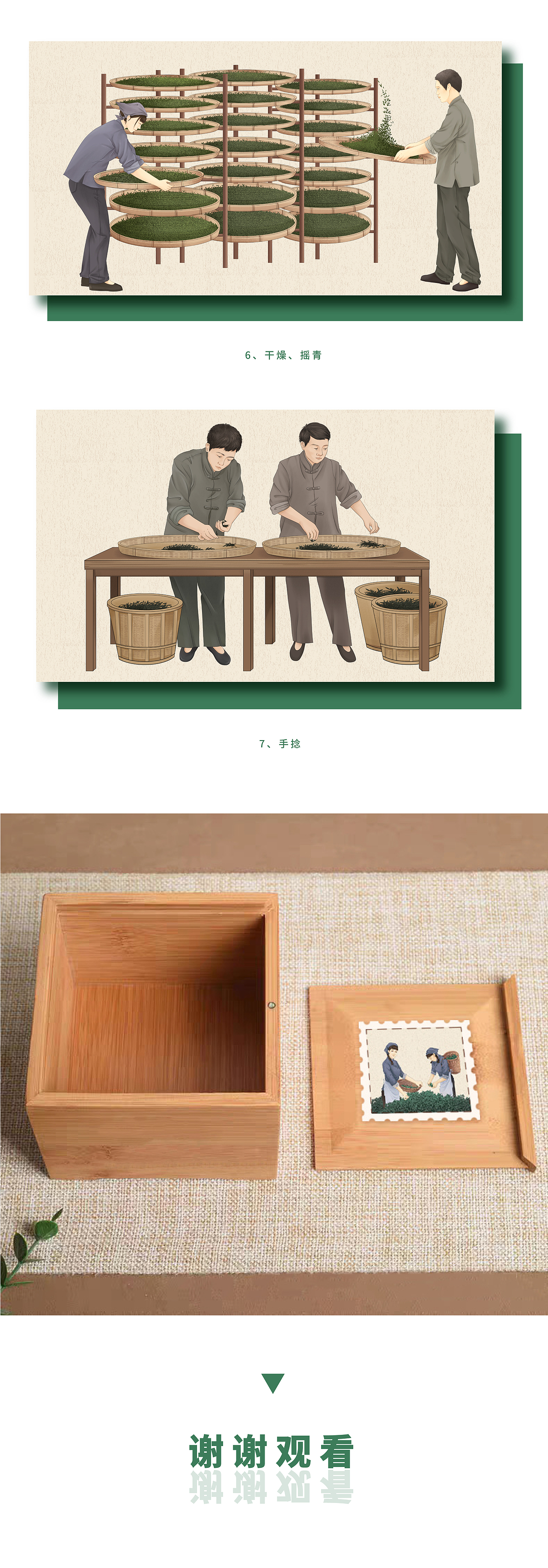 中国传统制茶工艺工序图采茶插画