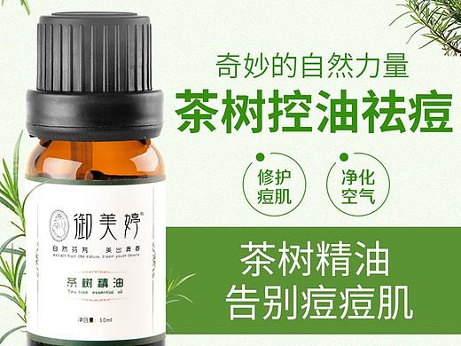 茶树精油详情