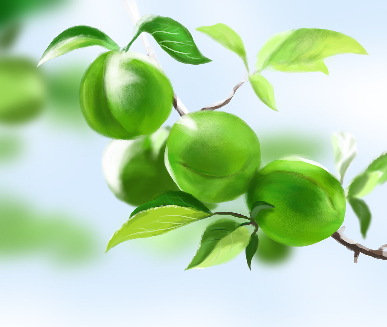 青梅不厌绿杯深