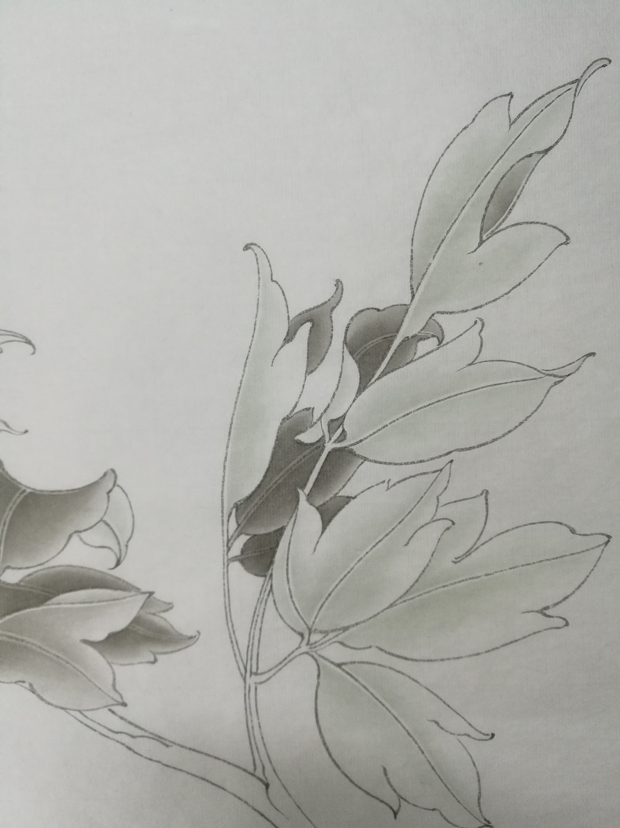 状元红（图ZMTM5OTI5ODk2） - 绘画 - 站酷设计师大光明王原创素材 - 站酷ZCOOL