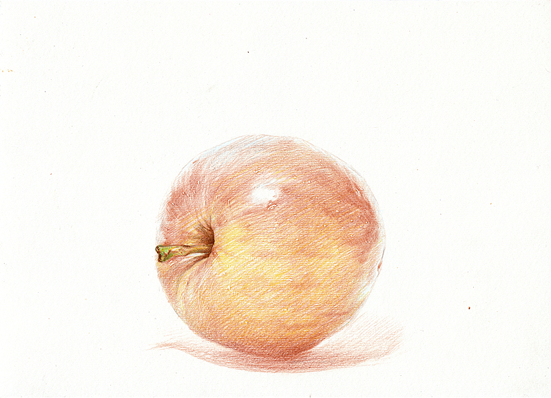 纸上彩铅--《苹果》随录 扫描版