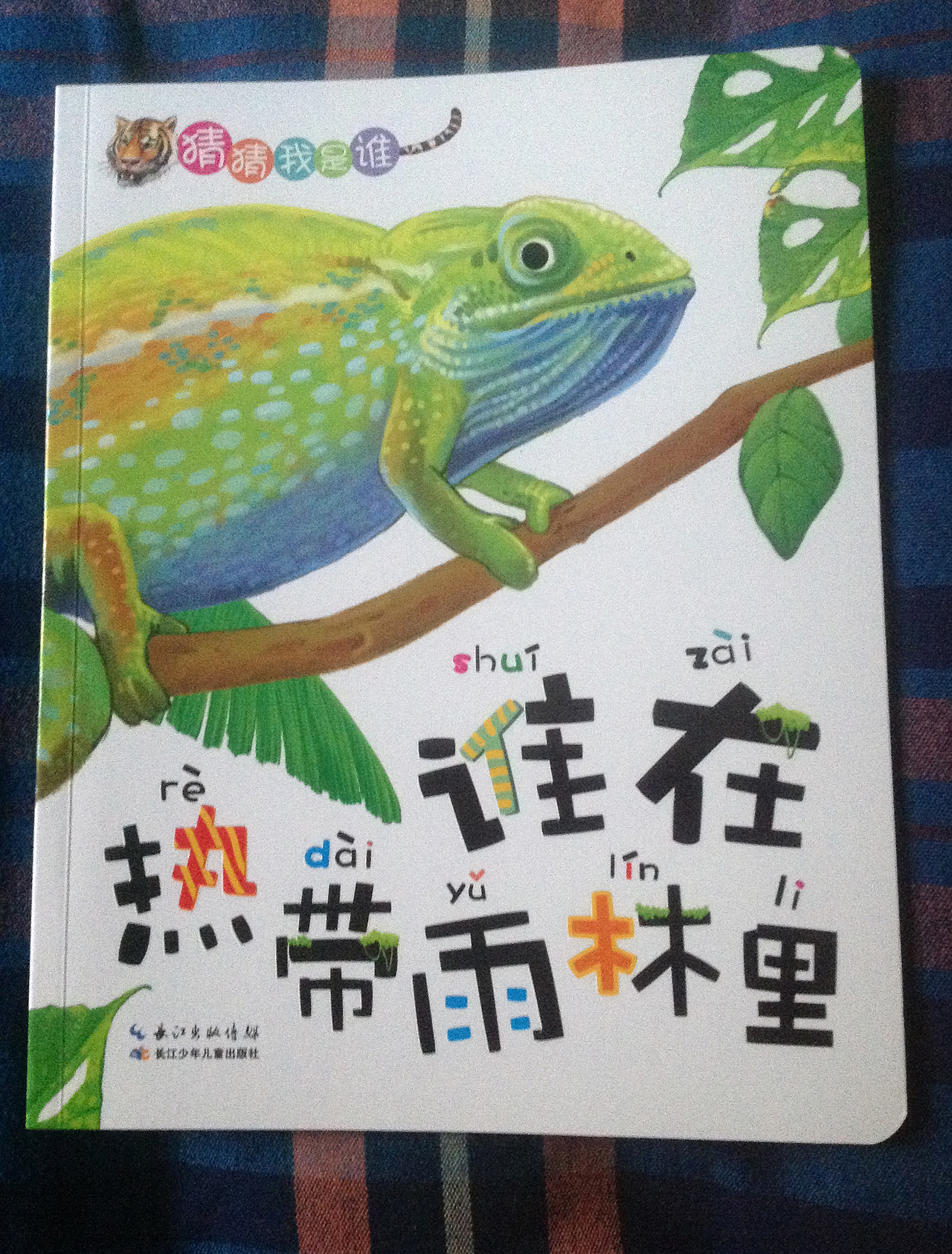 《猜猜我是谁》系列图书实物照片以及部分内插