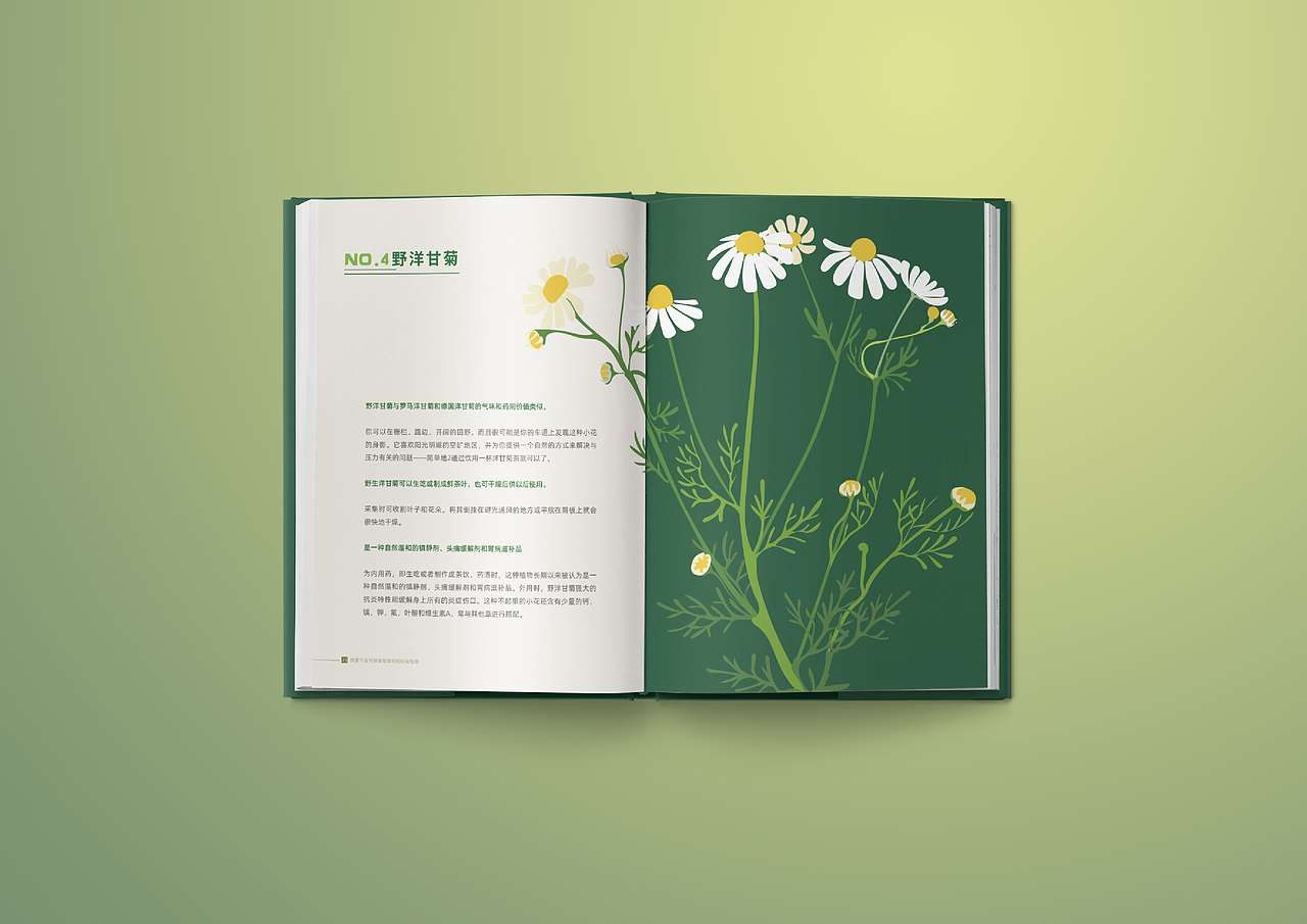 个人作品集优化