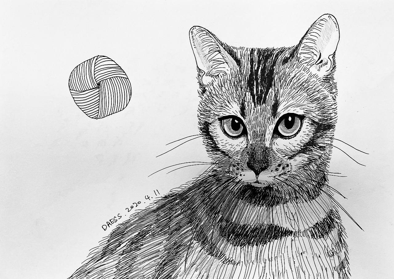 手绘 中性笔照片速写