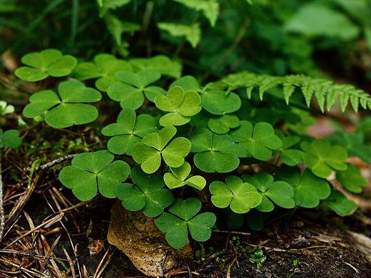 平面作品（个人主页-ZMzA2ODU5NzY=） - 宣传物料 - 站酷设计师繁星简爱原创素材 - 站酷ZCOOL