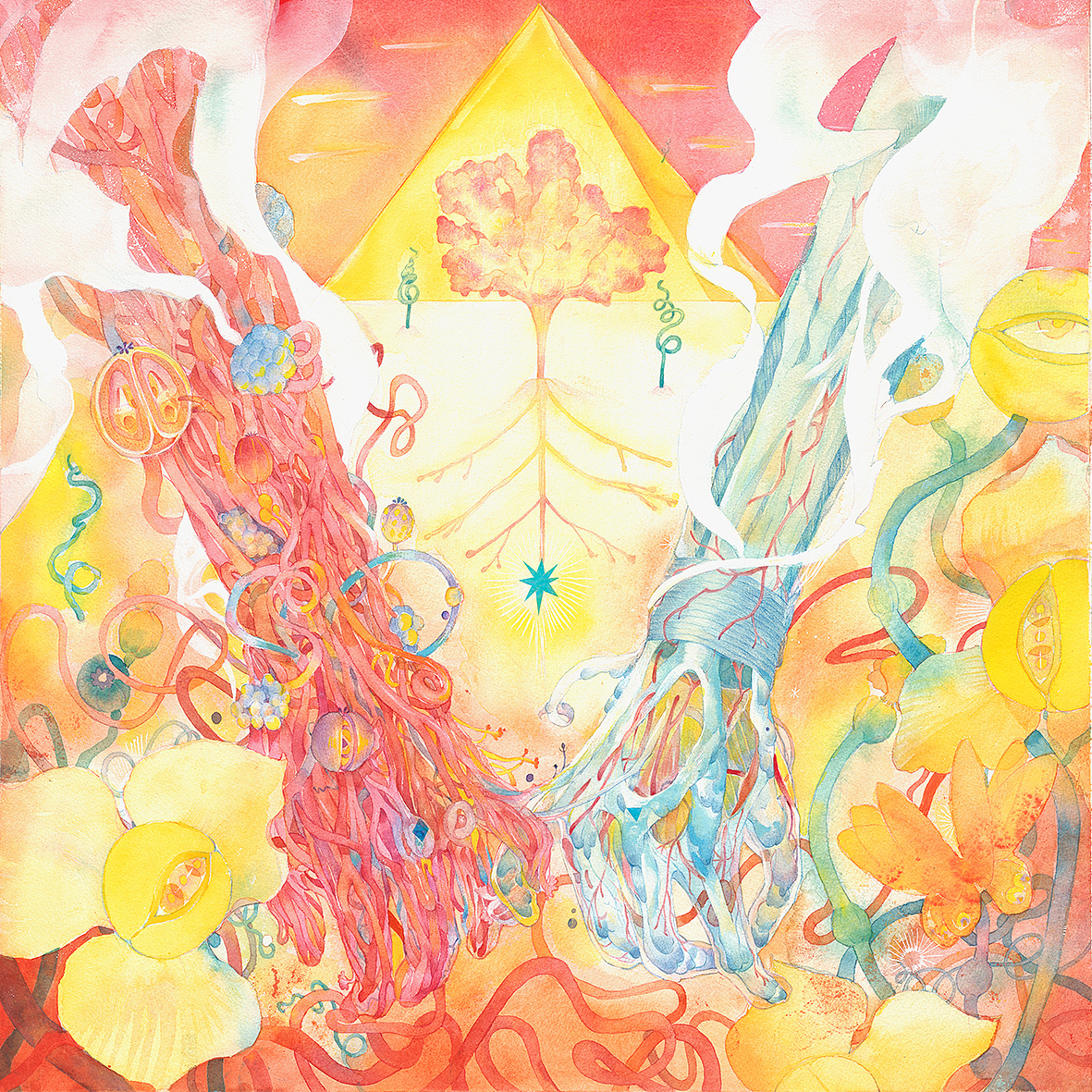 研究生毕业创作纸本水彩插画blooming系列作品