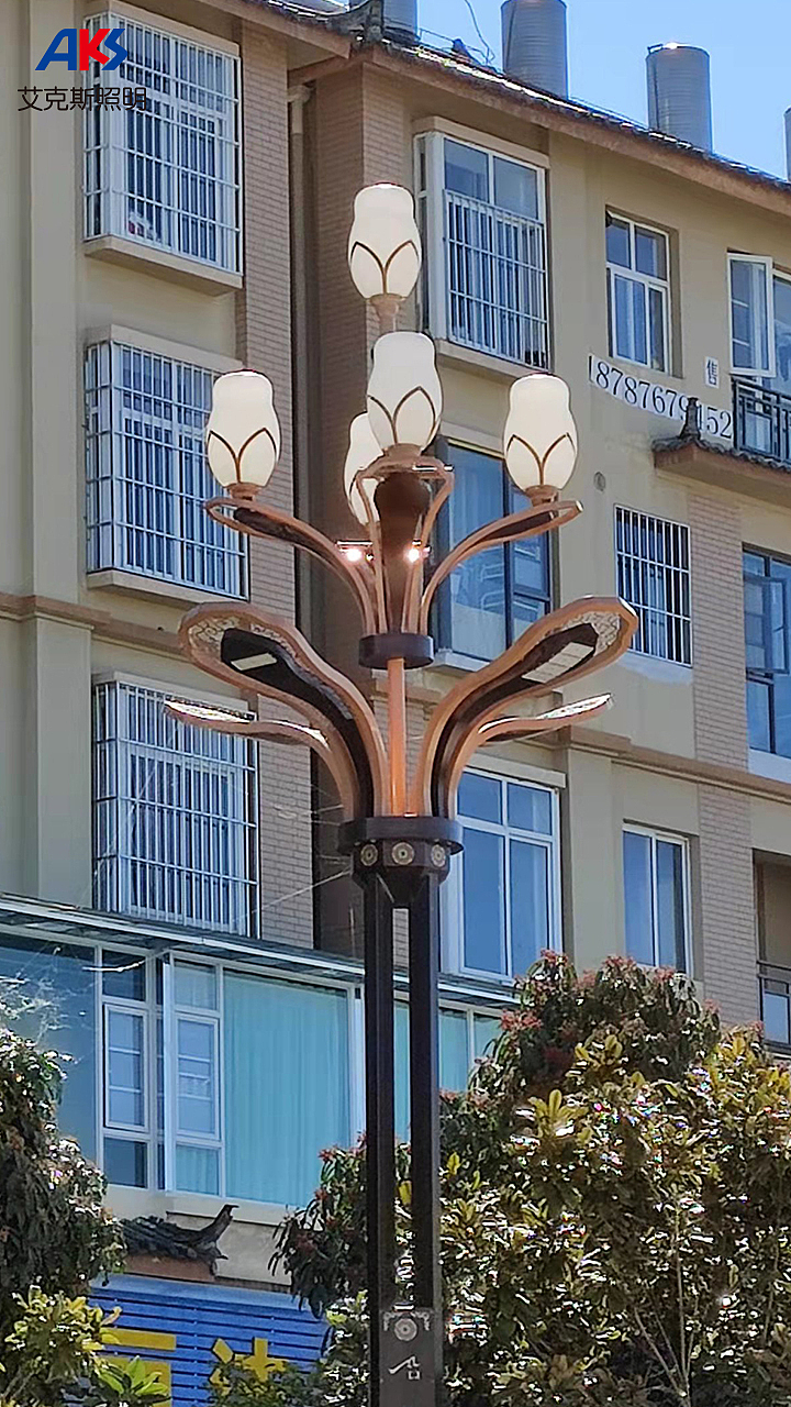 特色路灯设计,景观路灯