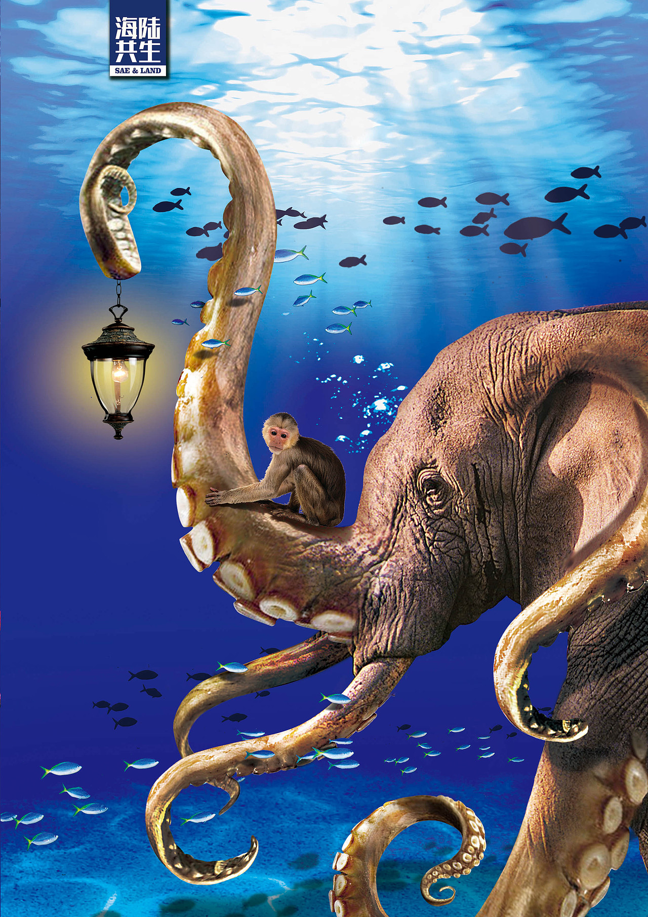 海陆共生 章鱼与大象