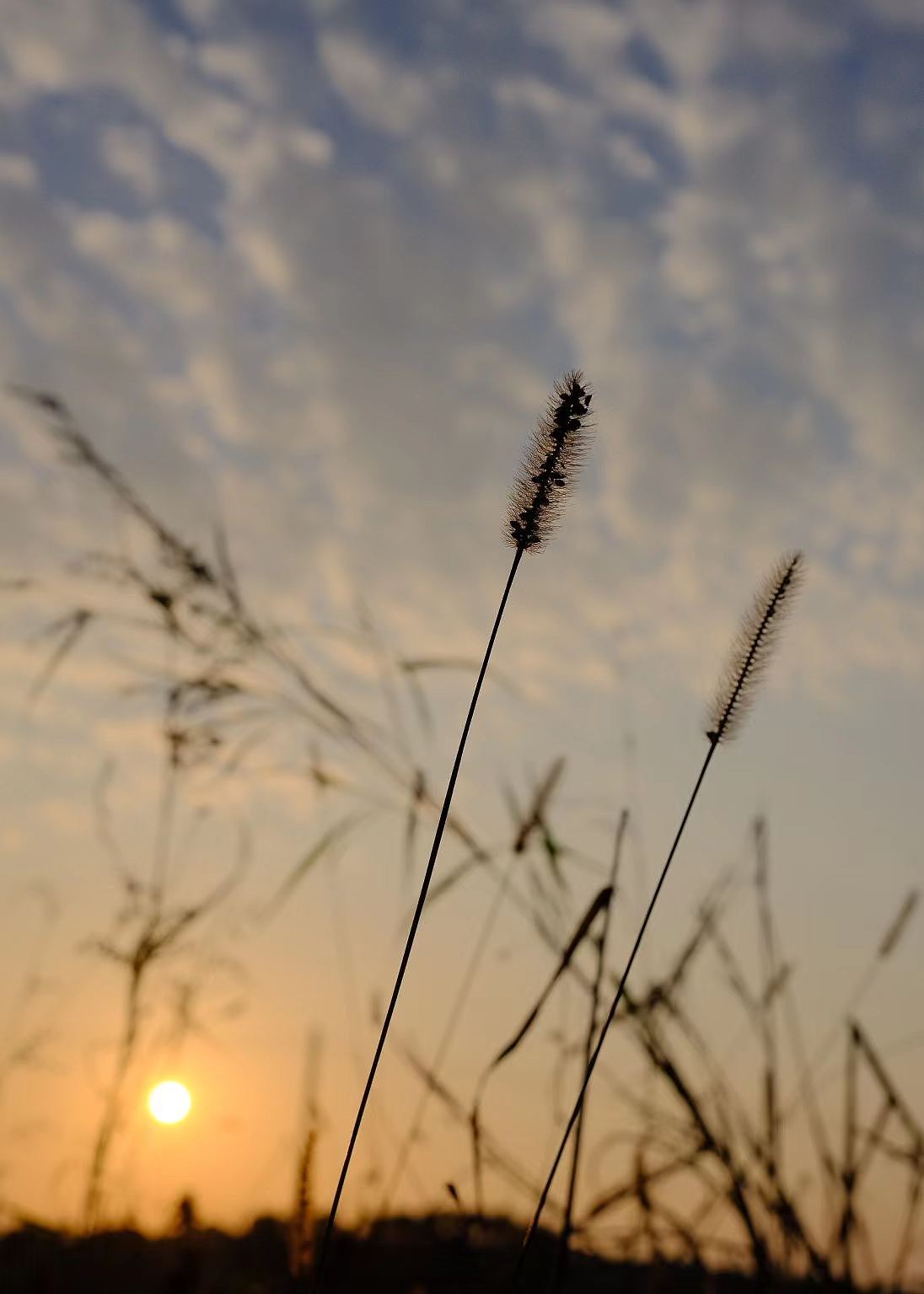 2023年春节乡村的早上2