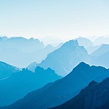 屋顶上的熊先生的头像