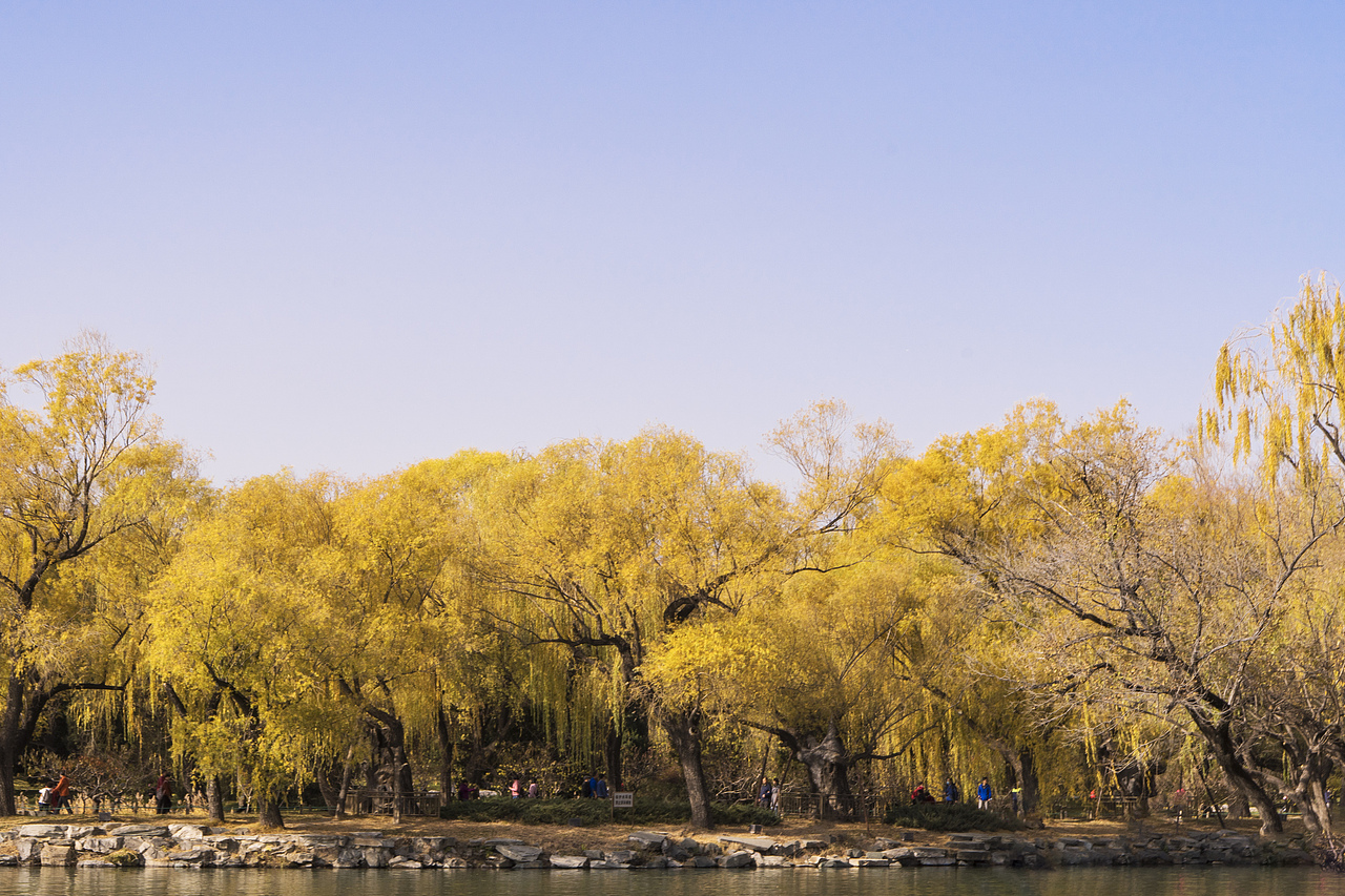 满城秋色的京城（图ZMjM1NjAyODky） - 风光摄影 - 站酷设计师小红帽JN原创素材 - 站酷ZCOOL