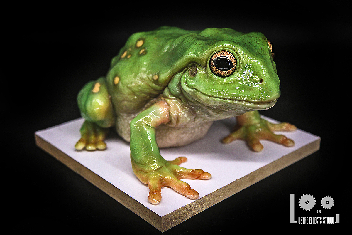 澳洲树蛙最终效果/硅胶材料